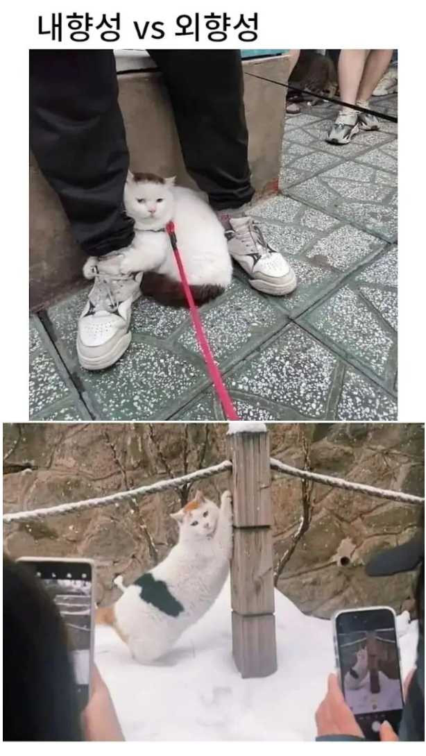 17460660535758.png