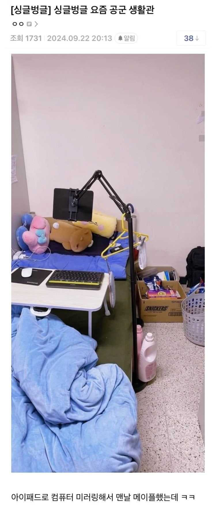17462862276352.jpg