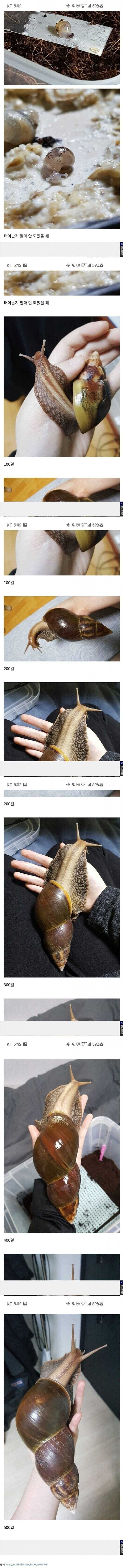 17462901772425.jpg