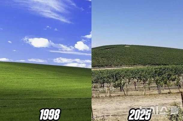 17467663627895.jpeg