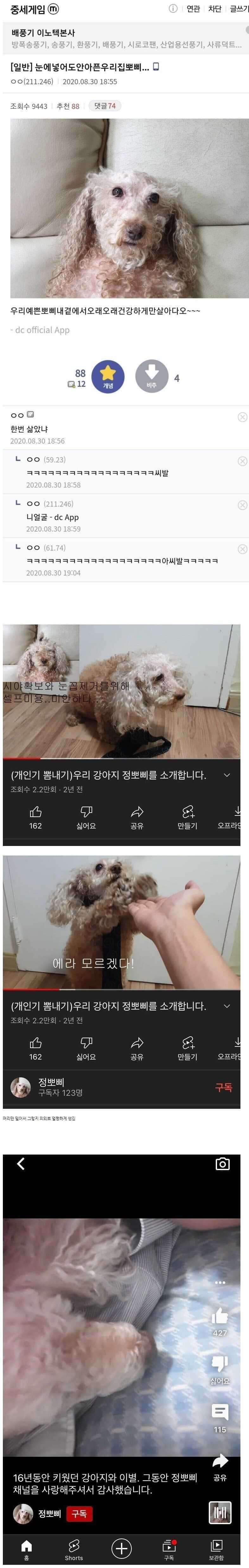 17498761530484.jpg