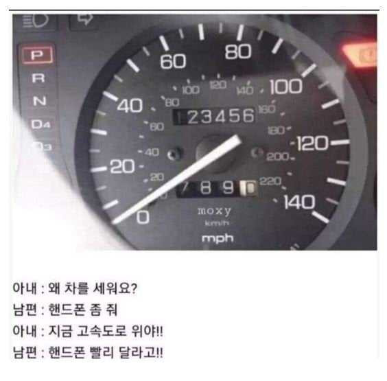 17500050929474.jpg