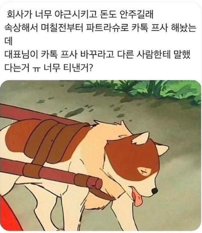 17502290630169.JPG