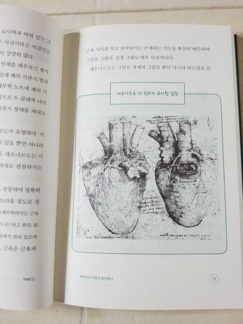 17504699917399.jpg