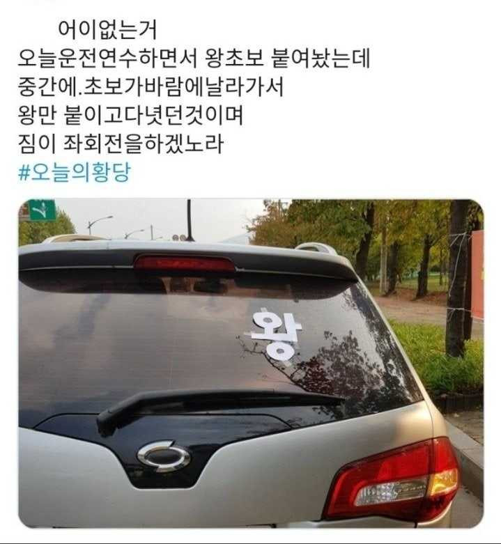 17505198739518.jpg