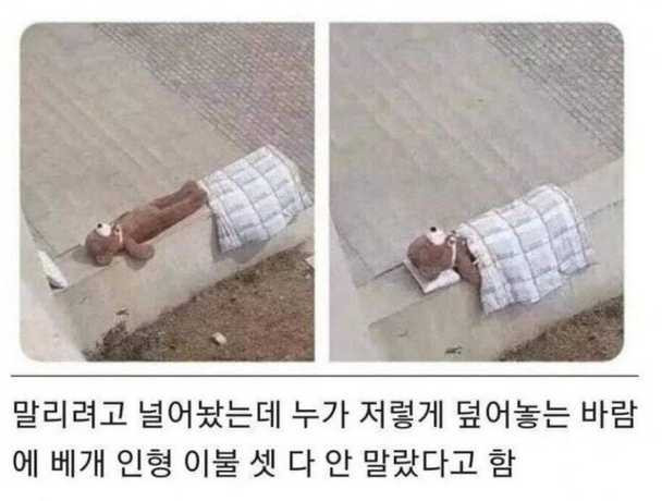 17507309544026.png
