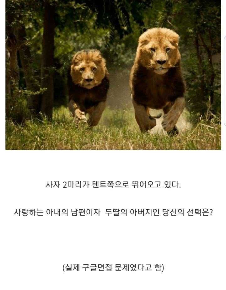 17510170890523.jpeg