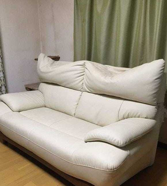 17520795012498.jpg