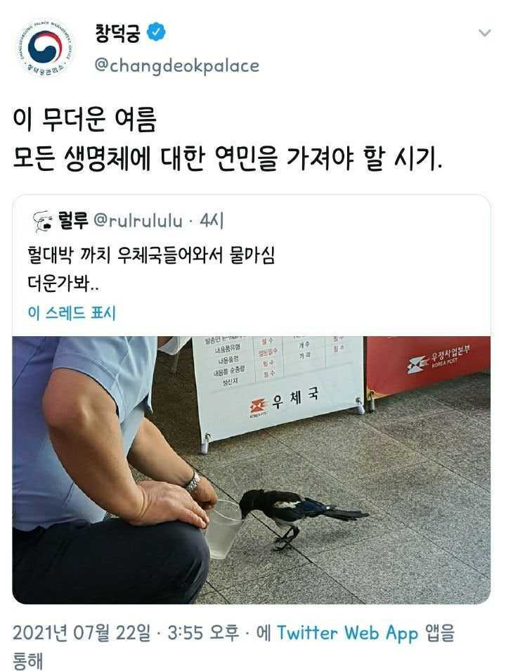 17522038815991.jpg