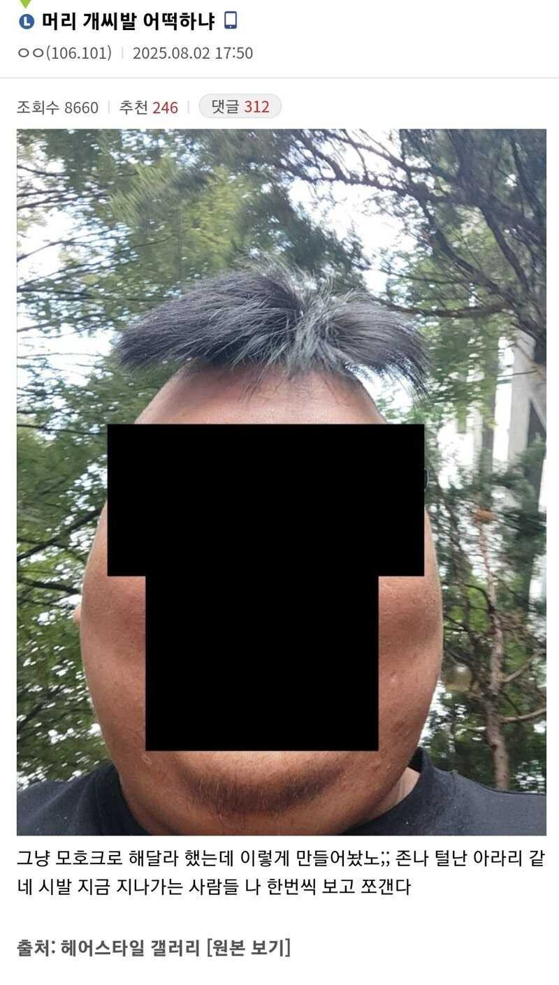 17541822823745.jpg