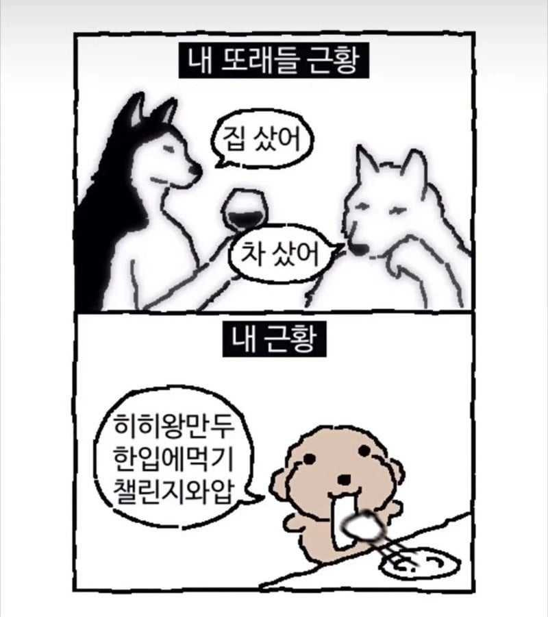 17543622017258.jpeg