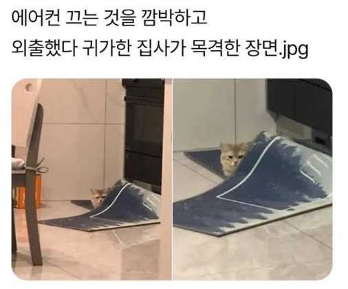 17548896625122.jpg
