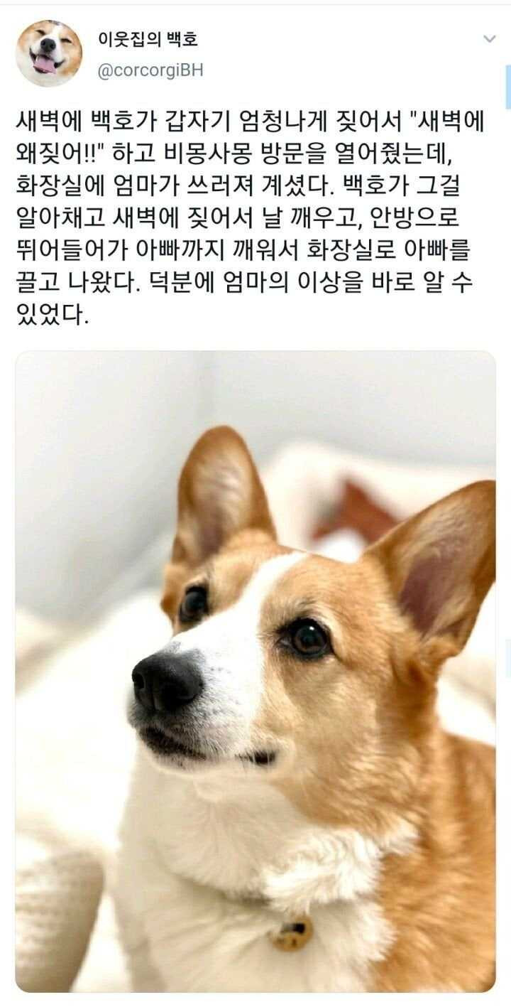 17559012898652.JPG
