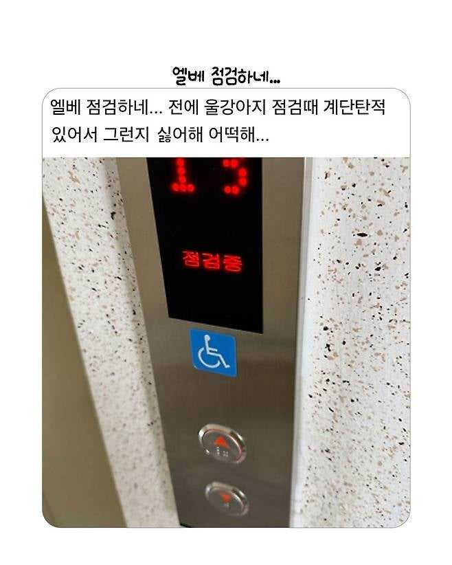 17559567161566.jpeg