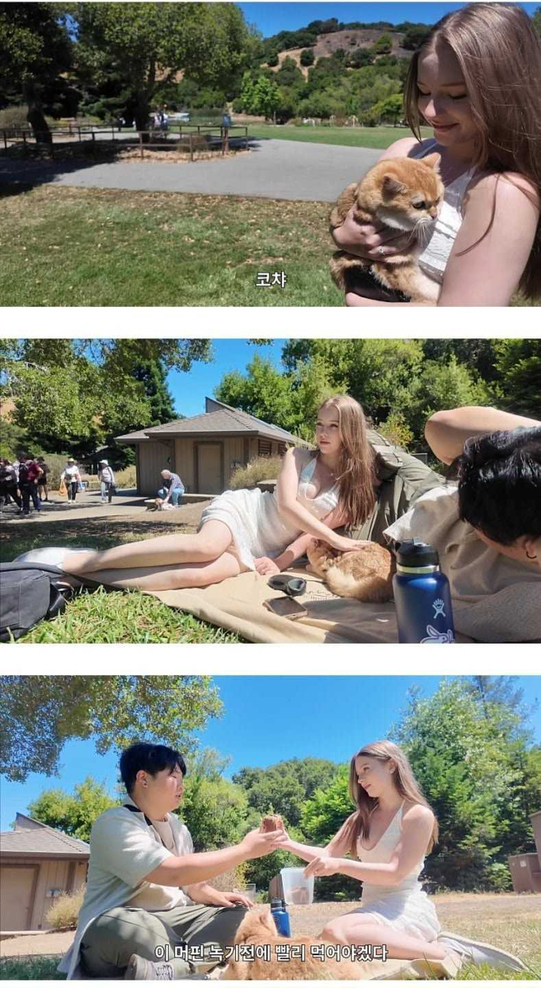 17565616191339.jpg