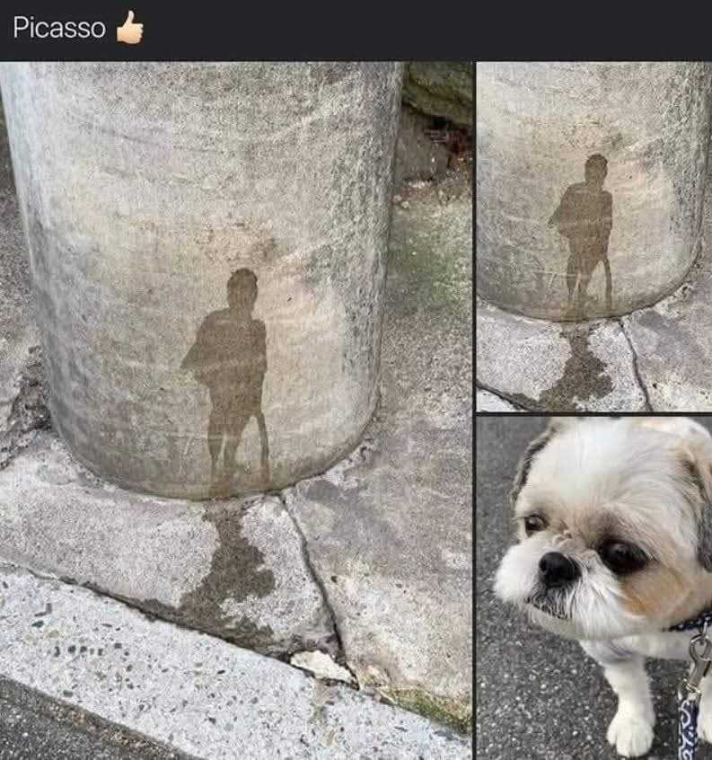17571220592795.jpg
