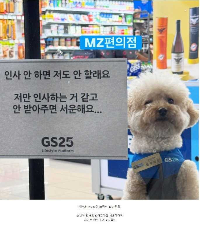 17573101904445.jpg