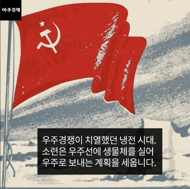 17574044962687.png
