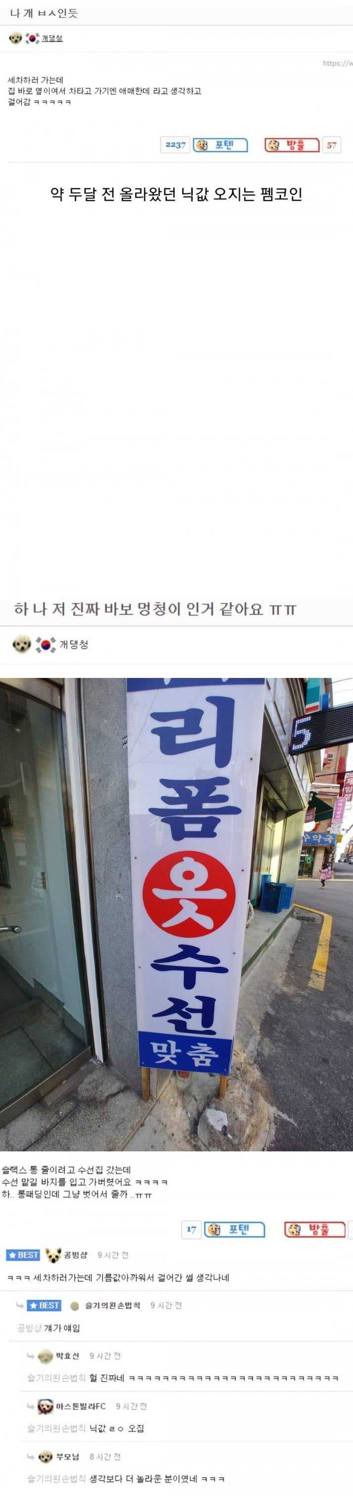 17576622761113.jpg