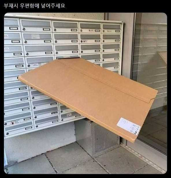 17577538572217.jpeg