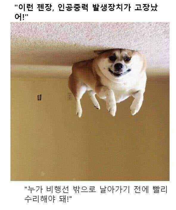 17578219140356.jpeg