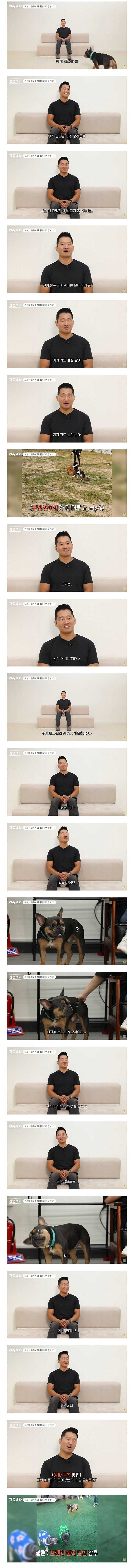 17581830389631.jpeg