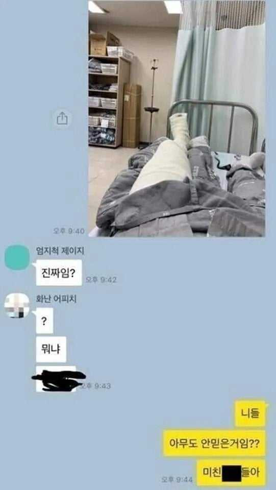 17586131055028.jpeg