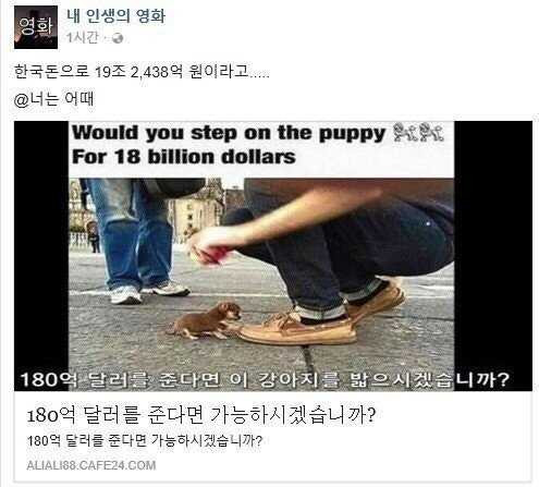 17587259006026.jpg
