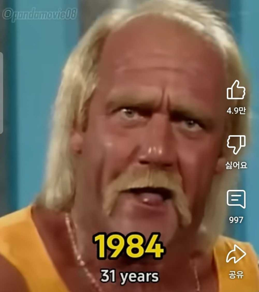 17462530510888.jpg