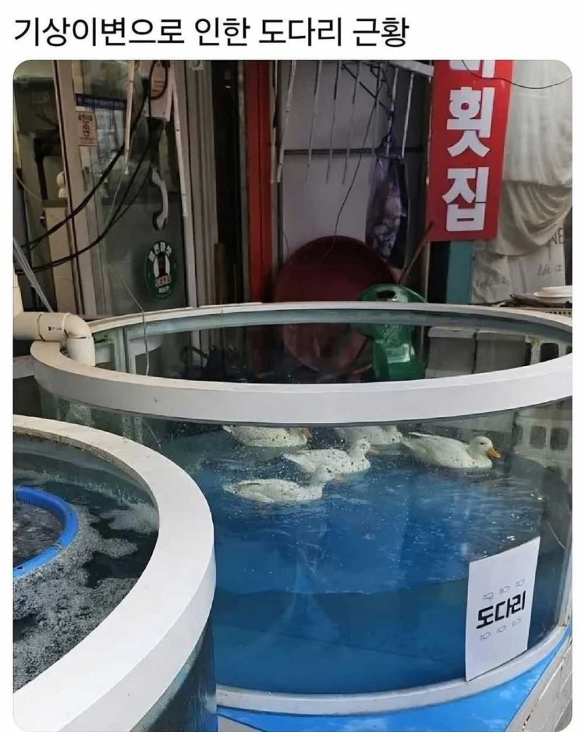 17465367837458.JPG