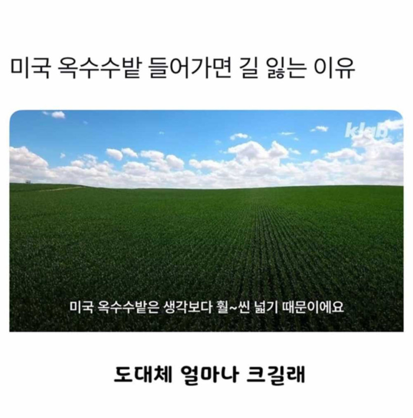 17470680805851.jpg