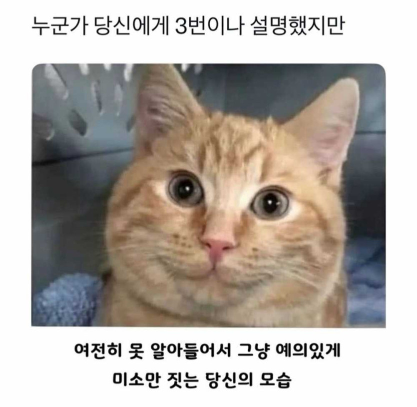 17479224598756.jpg