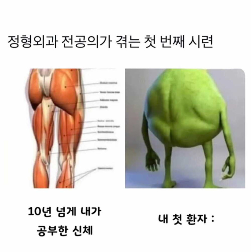 17479467407016.jpg