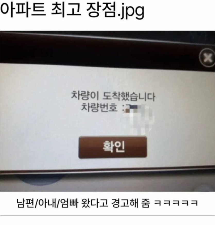 17479667871148.jpg