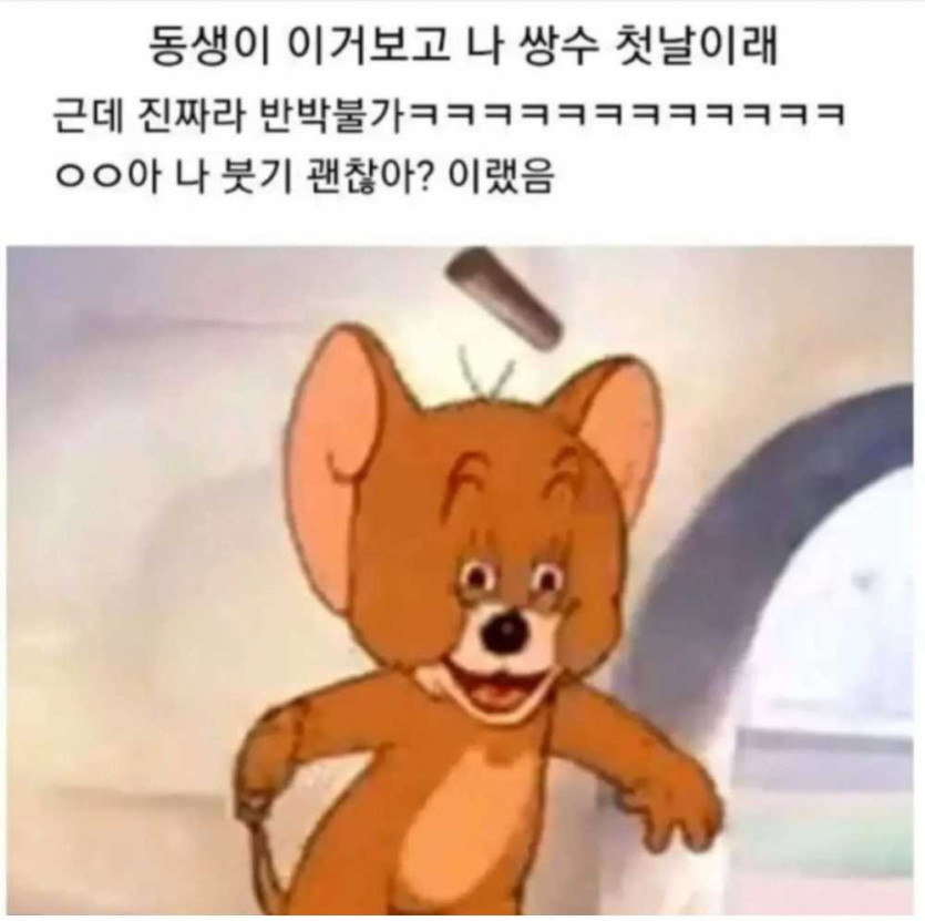 17481185319569.jpg