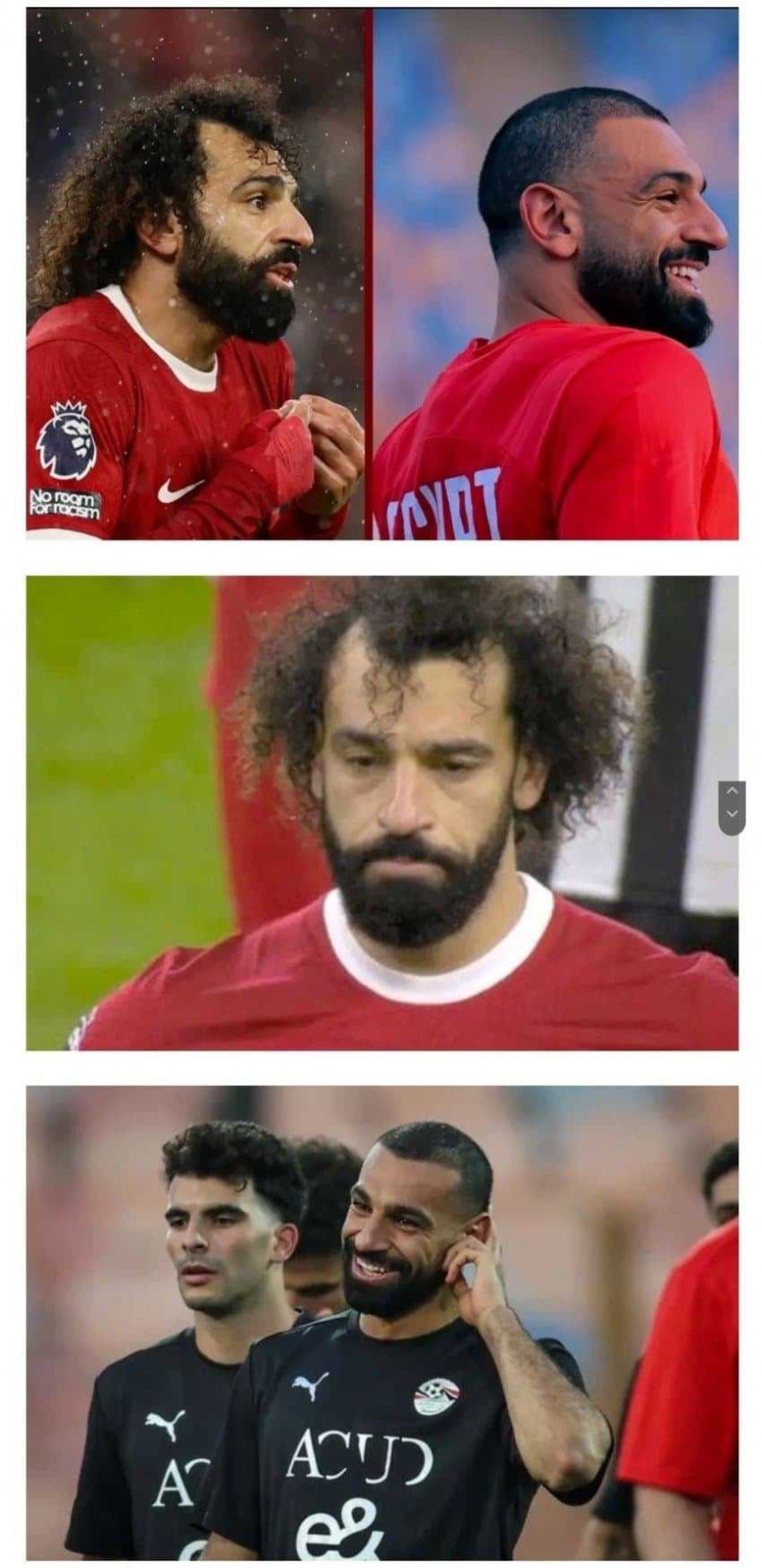 17482327232721.JPG