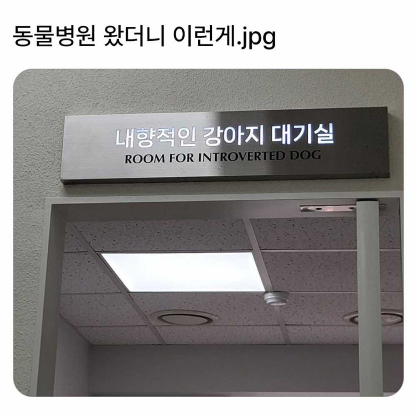 17485759894518.jpg