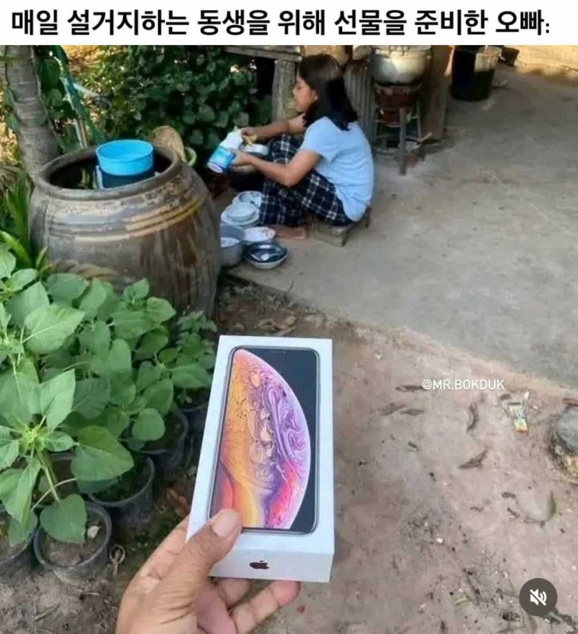 17490112804989.jpg