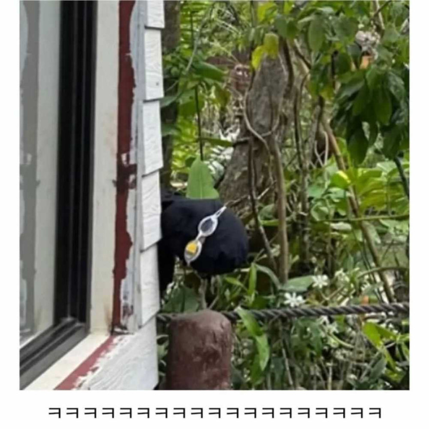 1749122812311.jpg
