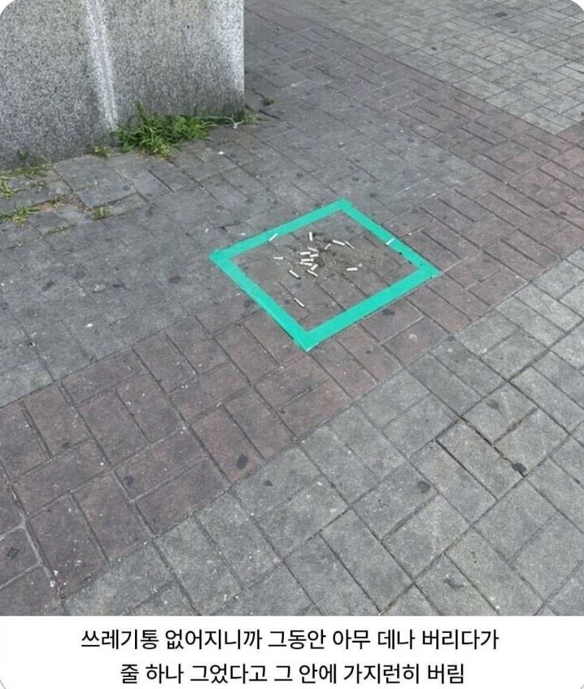 17492257567601.jpg