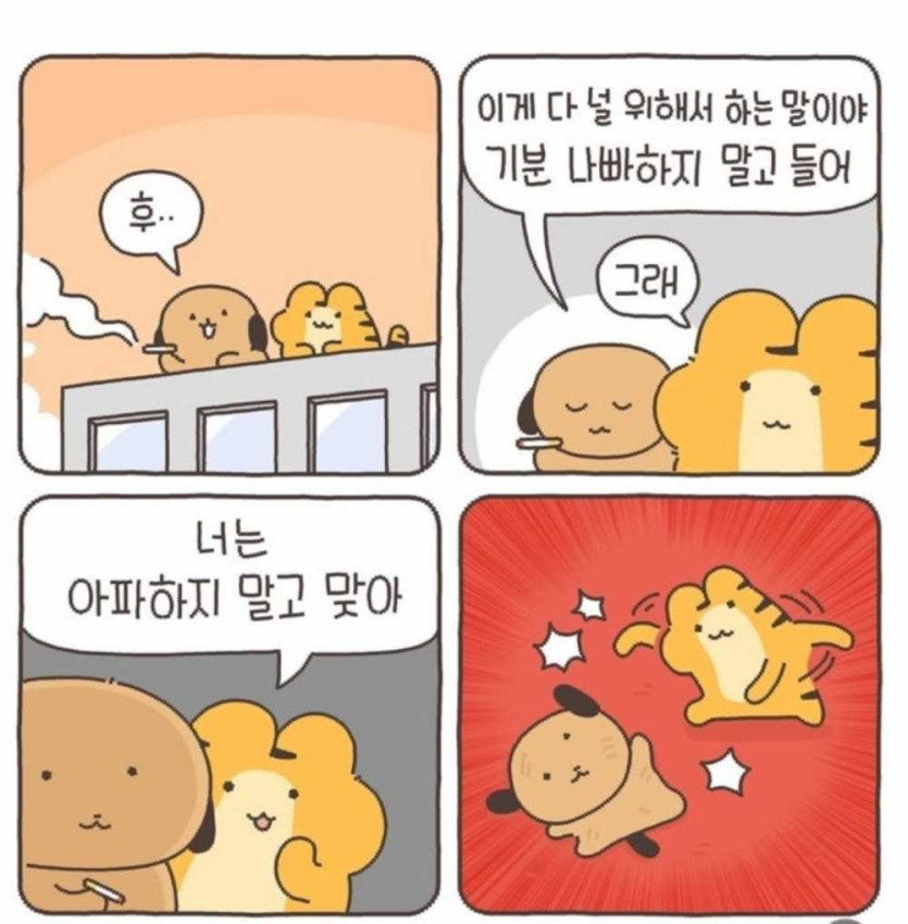 1749551306276.jpg