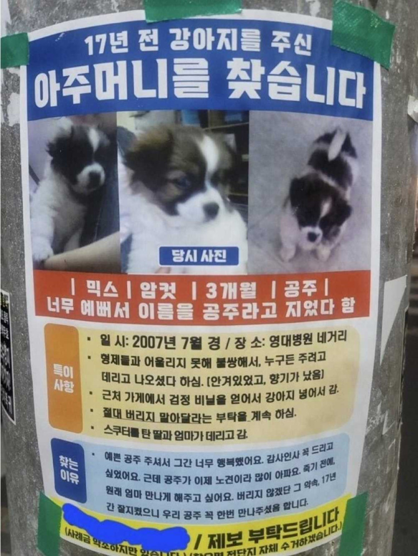 17495684482772.jpg