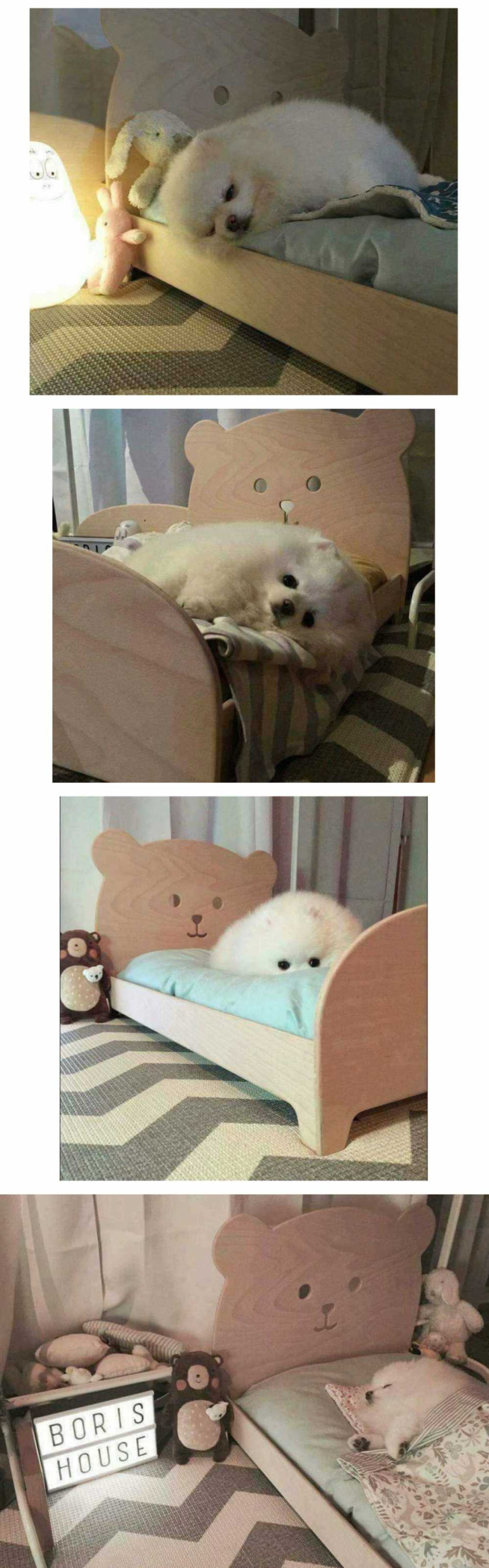 17496030374387.png