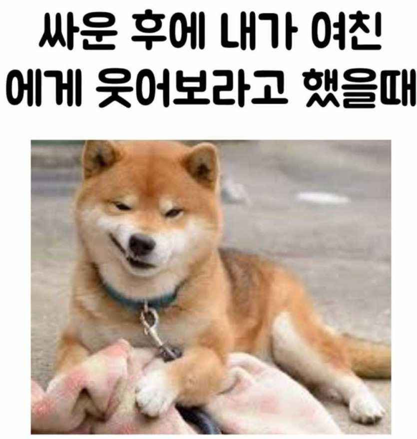 17496398603799.jpg