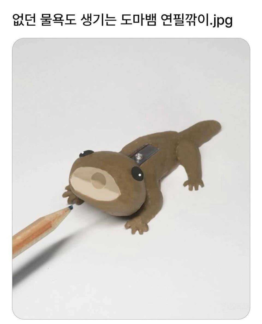 17498792425678.jpeg
