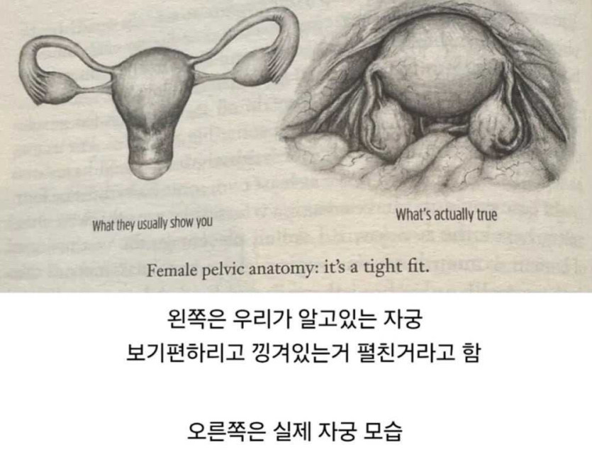 17498839338958.jpg