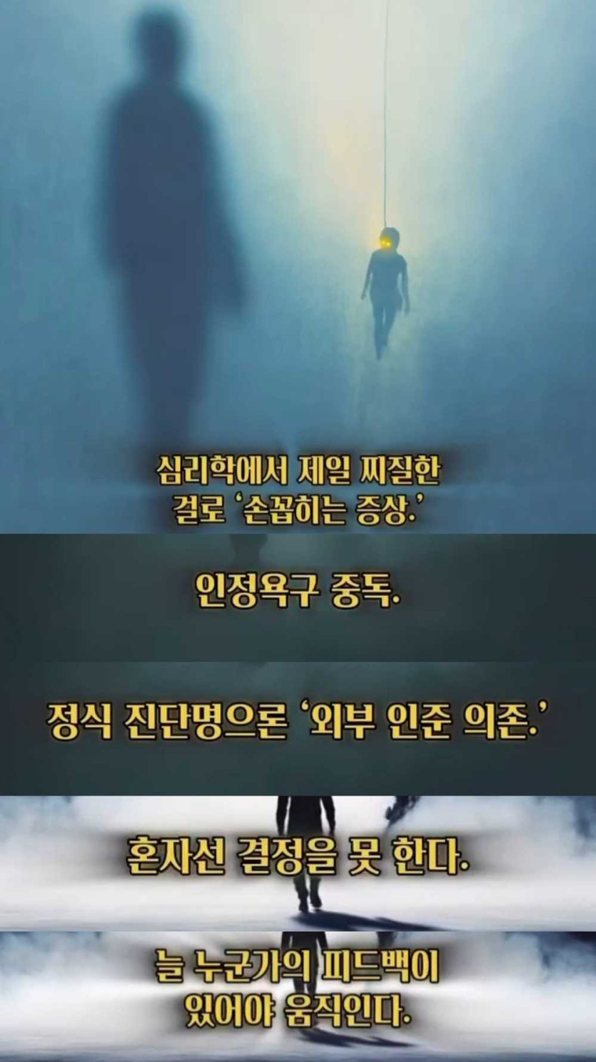 17503206800695.jpg