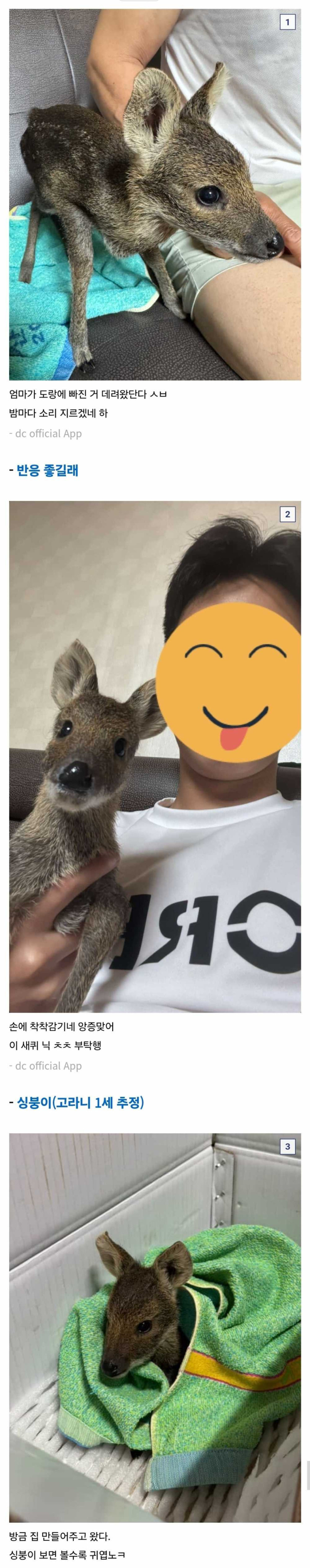17504217411121.jpeg