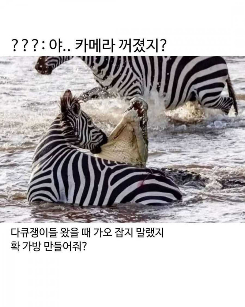 17506484875161.jpg