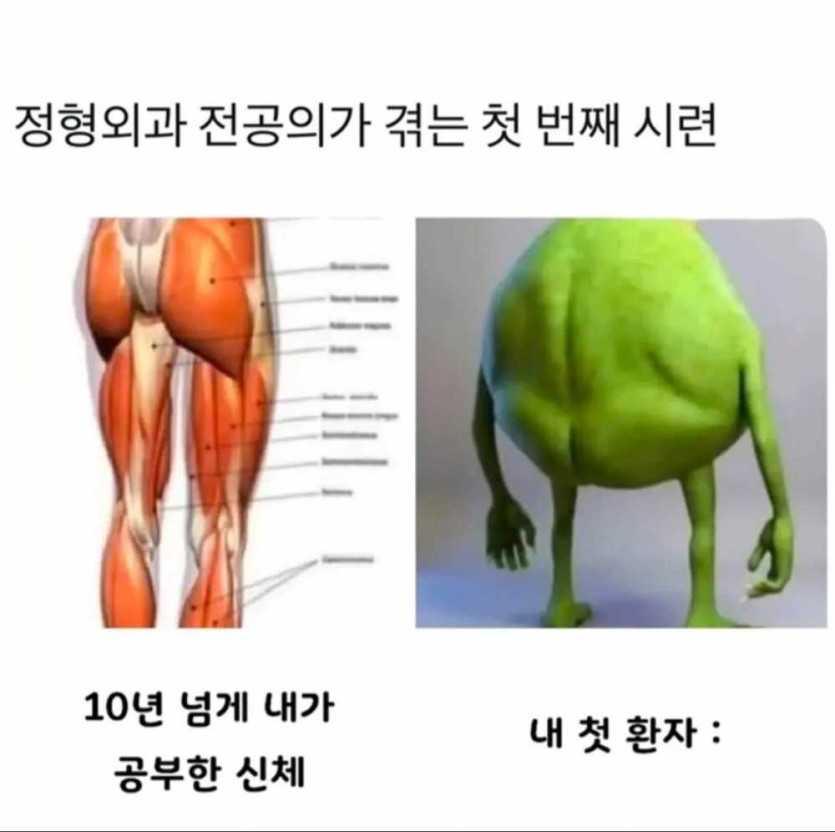 1750771423207.jpg